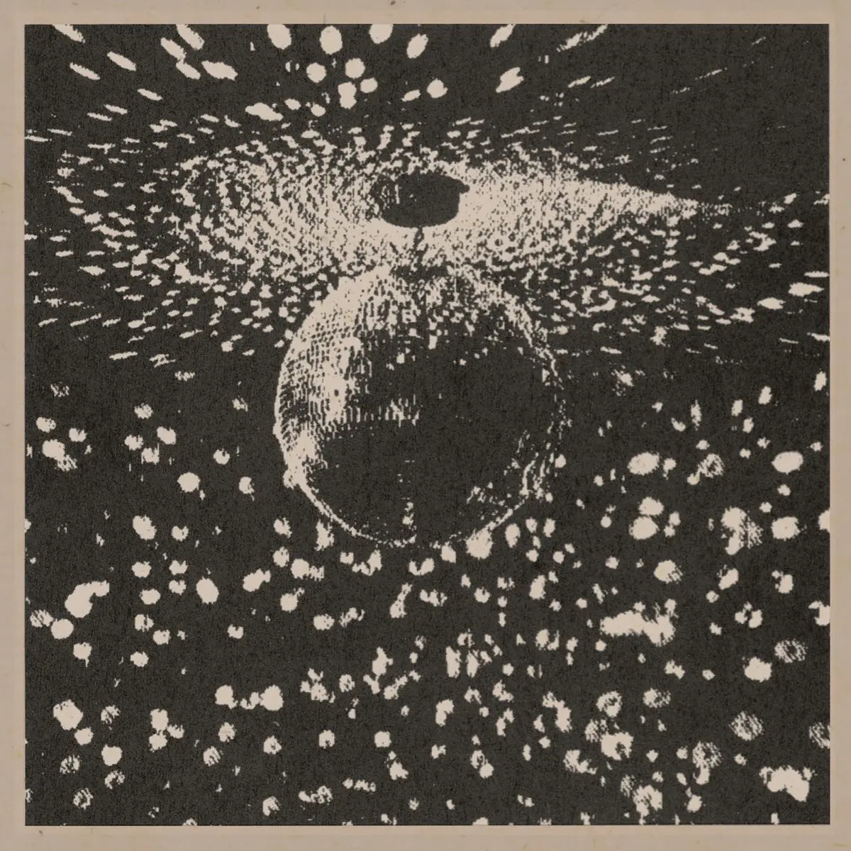 Neil Young, Mirror Ball, LPx2