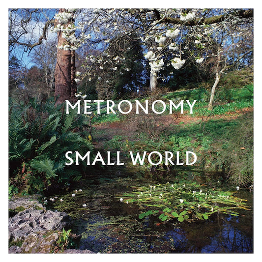 Metronomy, Small World, LP+