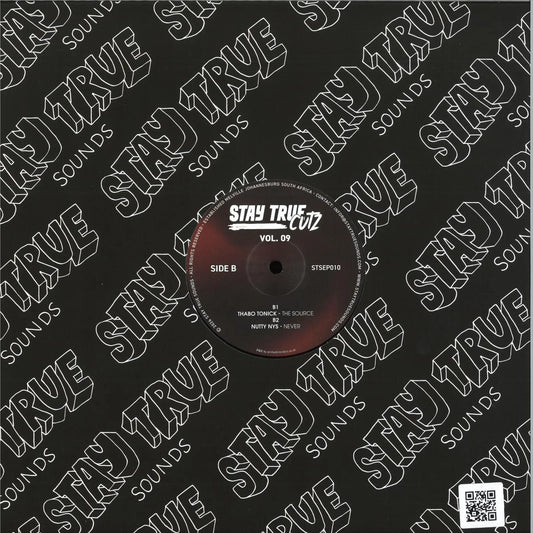 Various, Stay True Cutz Vol. 9, 12"
