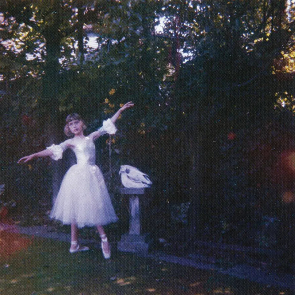 Wolf Alice, Visions of a Life, LPx2
