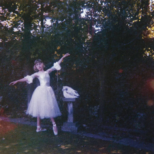 Wolf Alice, Visions of a Life, LPx2