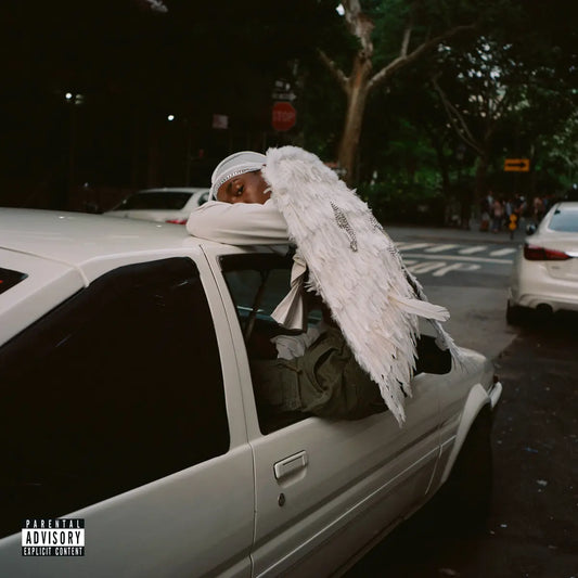 Blood Orange, Negro Swan, LP