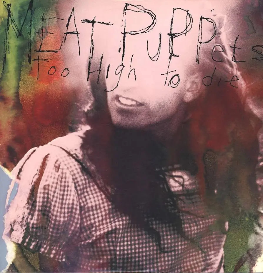 Meat Puppets, Too High to Die, LP