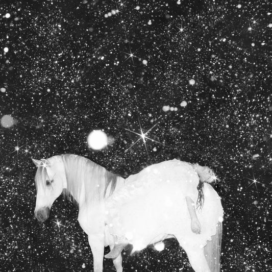 Black Lips, Apocalypse Love, LP