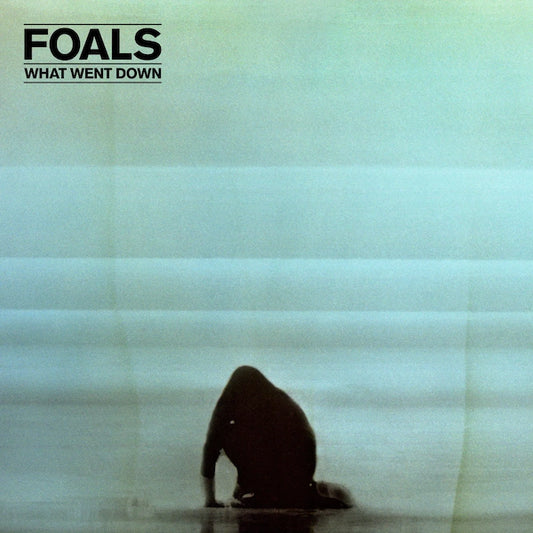 Foals, What Went Down, LP