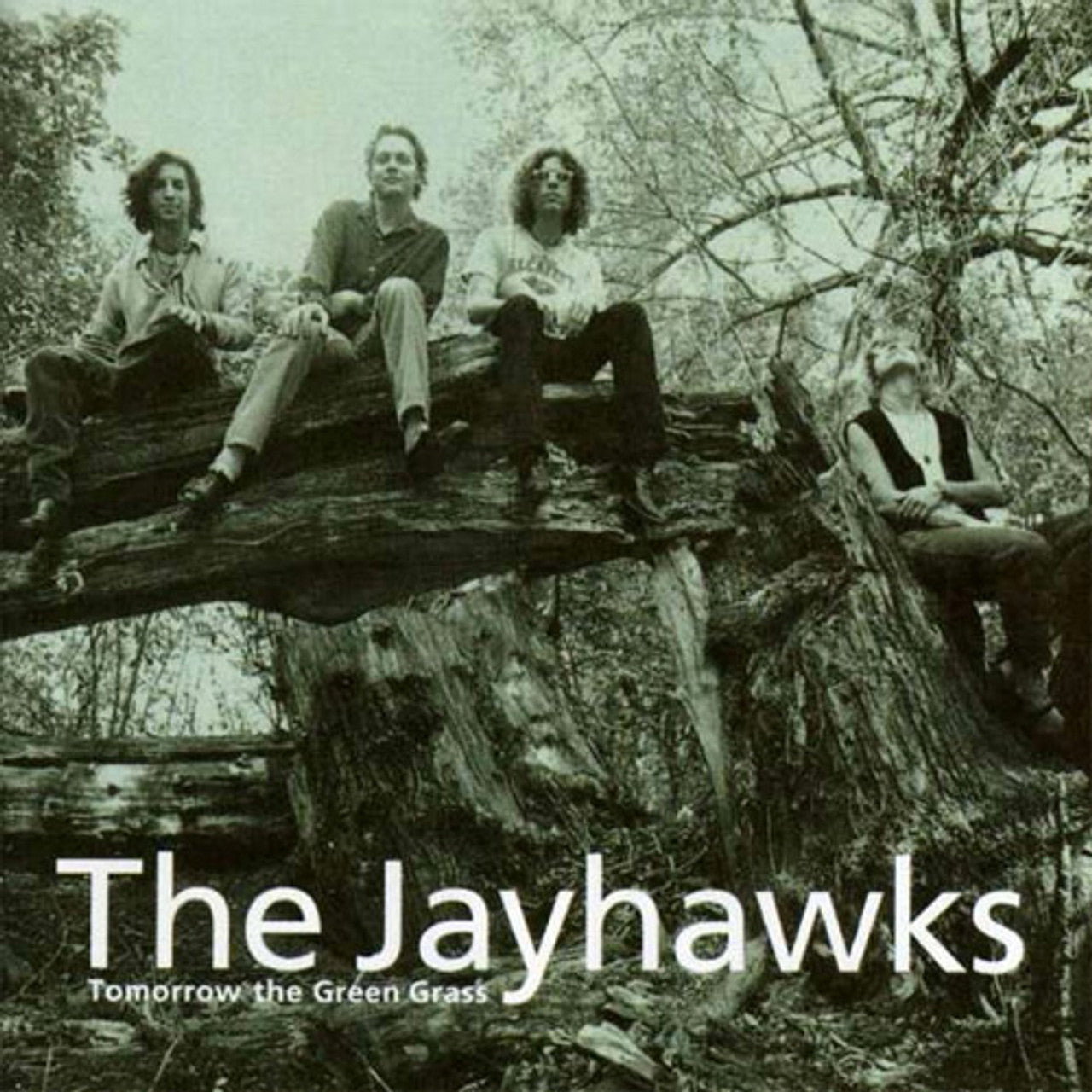 The Jayhawks, Tomorrow The Green Grass, LP