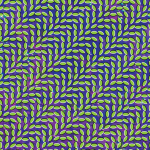 Animal Collective, Meriweather Post Pavillion, LPx2