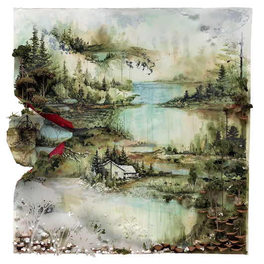 Bon Iver, Bon Iver, LP