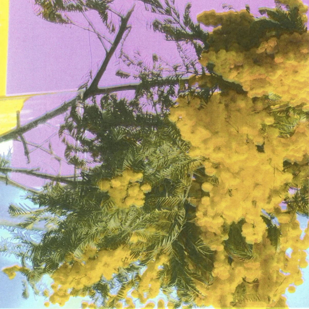 Four Tet, Into Dust (Still Falling), 12"