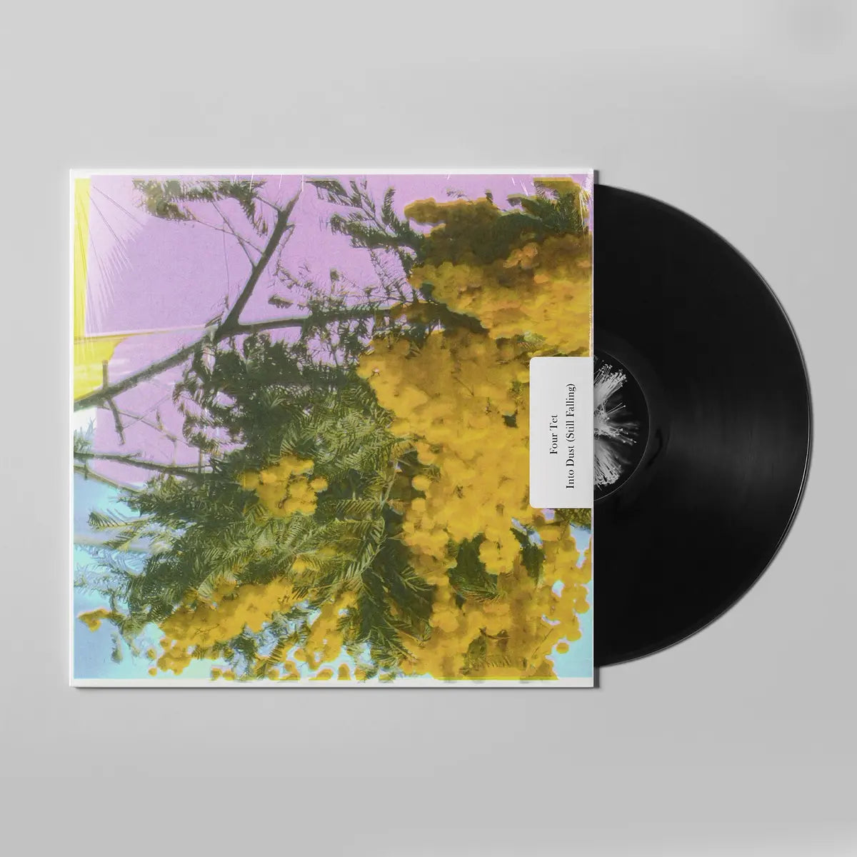 Four Tet, Into Dust (Still Falling), 12"
