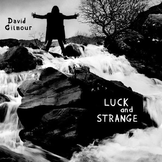 David Gilmour, Luck and Strange, LP+