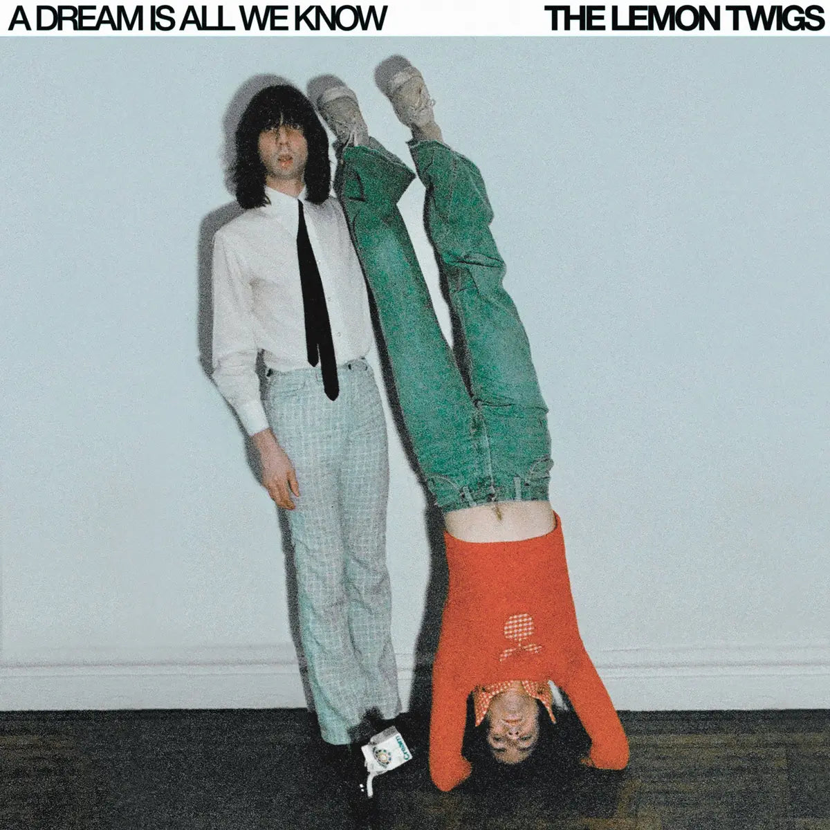 The Lemon Twigs, A Dream Is All We Know, LP