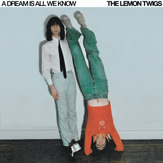 The Lemon Twigs, A Dream Is All We Know, LP