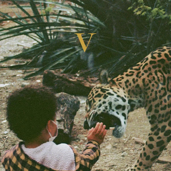 Unknown Mortal Orchestra, V, LPx2