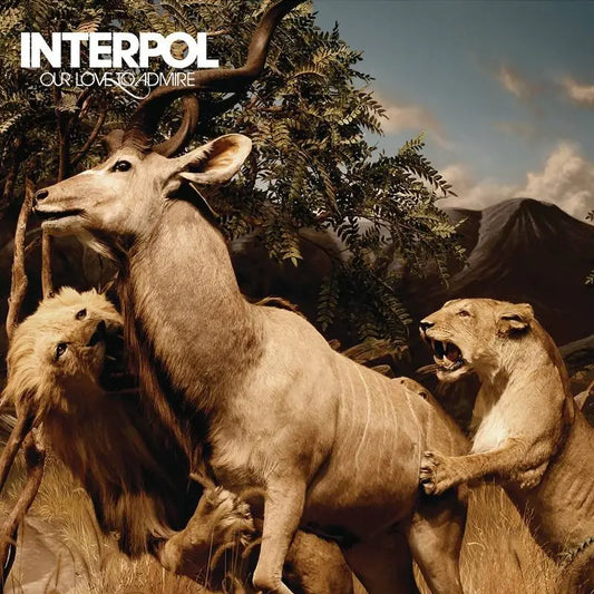 Interpol, Our Love To Admire, LPx2