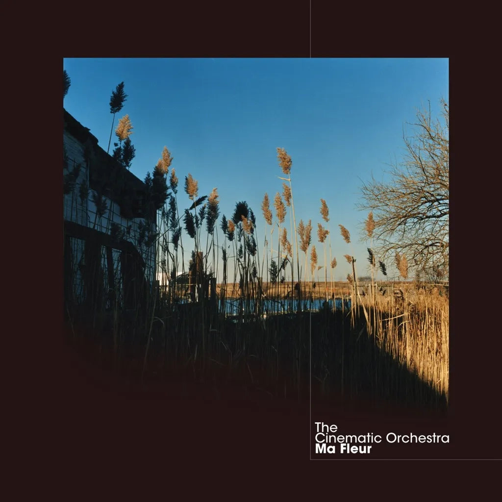 The Cinematic Orchestra, Ma Fleur, LPx2+