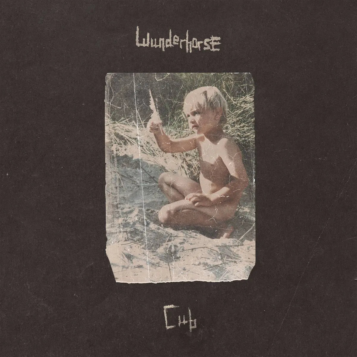 Wunderhorse, Cub, LP+