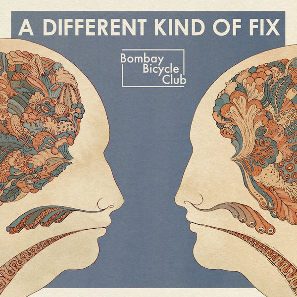 Bombay Bicycle Club, A Different Kind of Fix, LP