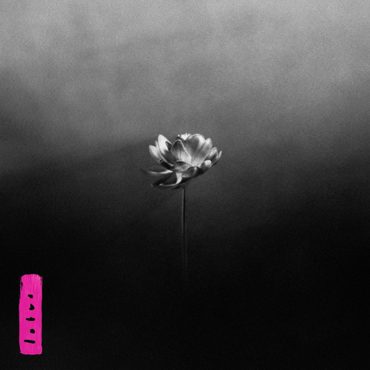 Little Simz, Lotus, LPx2