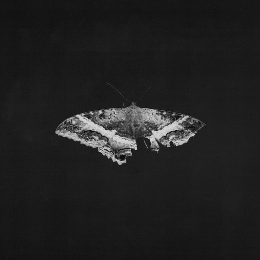 Kendrick Lamar, To Pimp A Butterfly (10 Year Anniversary Edition), LPx2