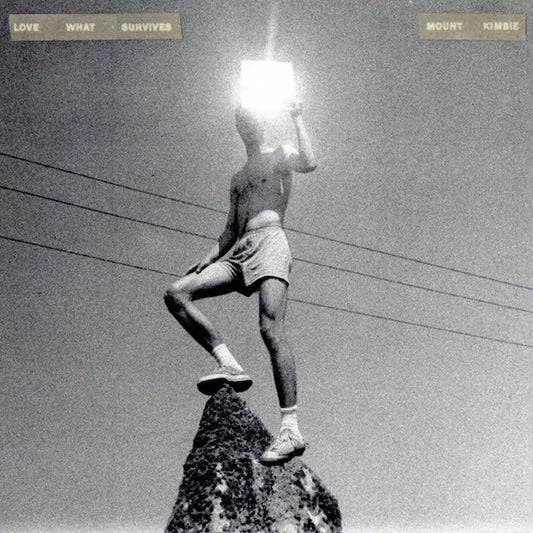 Mount Kimbie, Love What Survives, LPx2