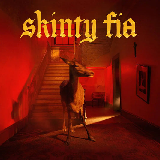Fontaines D.C., Skinty Fia, LP